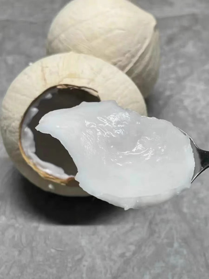 奶椰