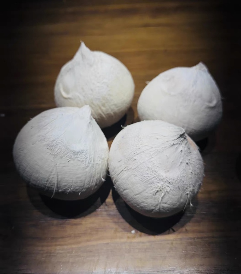 奶椰