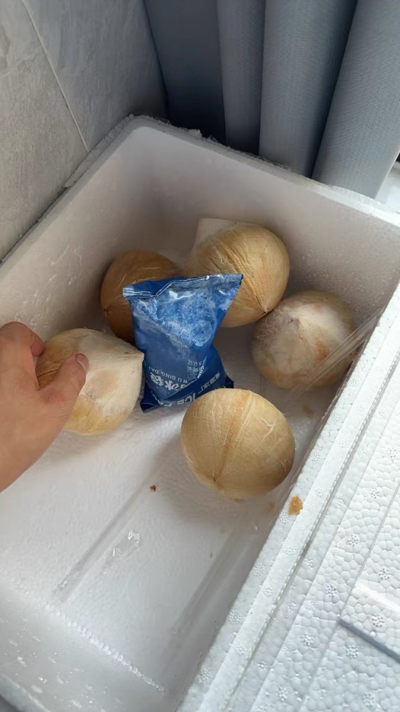 奶椰