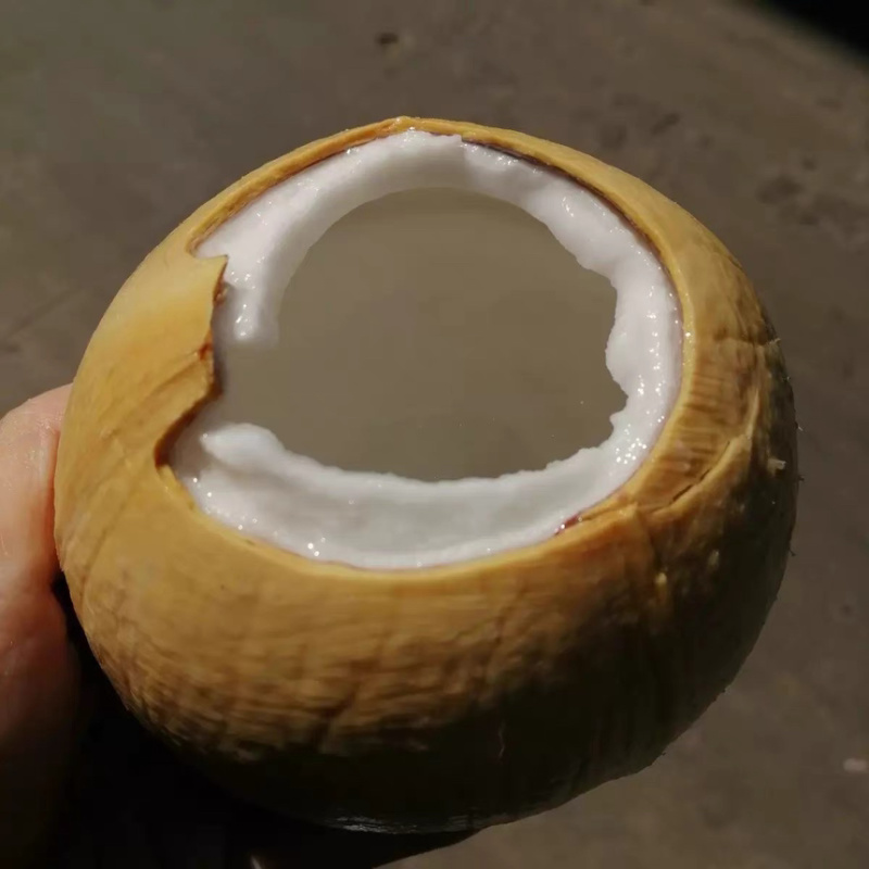 奶椰
