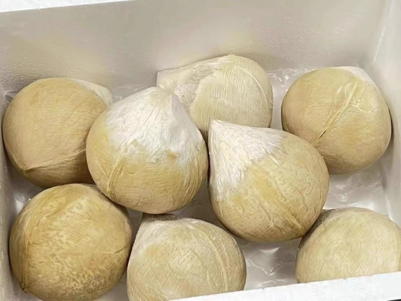 奶椰