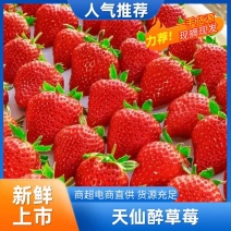 天仙醉草莓，品种多规格全，可定制包装，专业基地代办代发