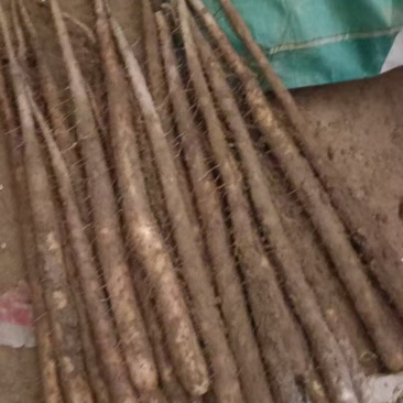 今天是1月7号，给清远的一位老板看货中有要货的老板联系