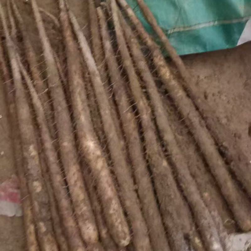今天是1月7号，给清远的一位老板看货中有要货的老板联系
