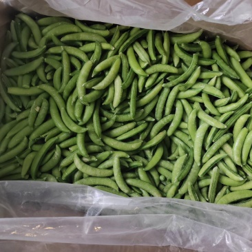 速冻甜豆甜豌豆，出口级别，果蔬脆片加工原料