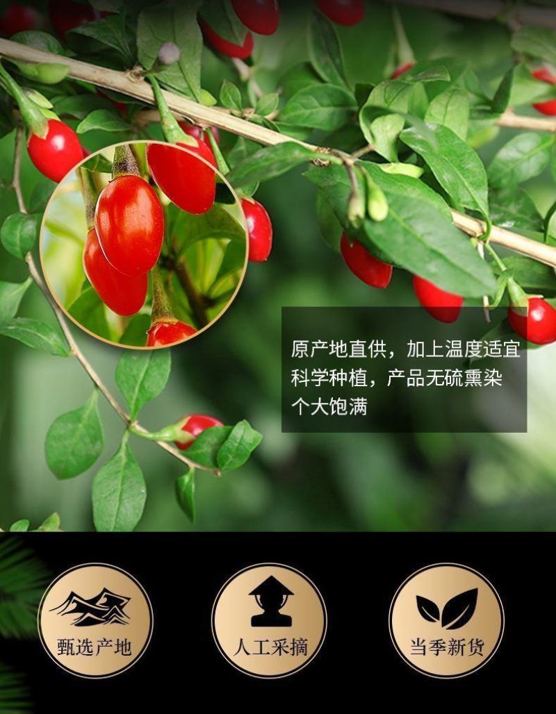 宁夏红枸杞枸杞红枸杞宁夏枸杞一斤发货