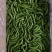 速冻甜豆甜豌豆，出口级别，果蔬脆片加工原料