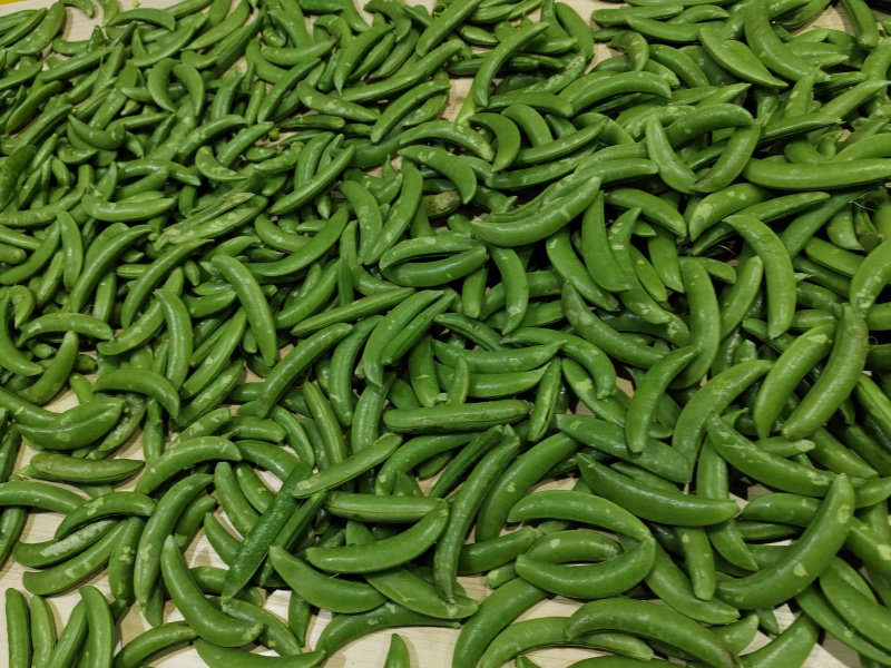 速冻甜豆甜豌豆，出口级别，果蔬脆片加工原料
