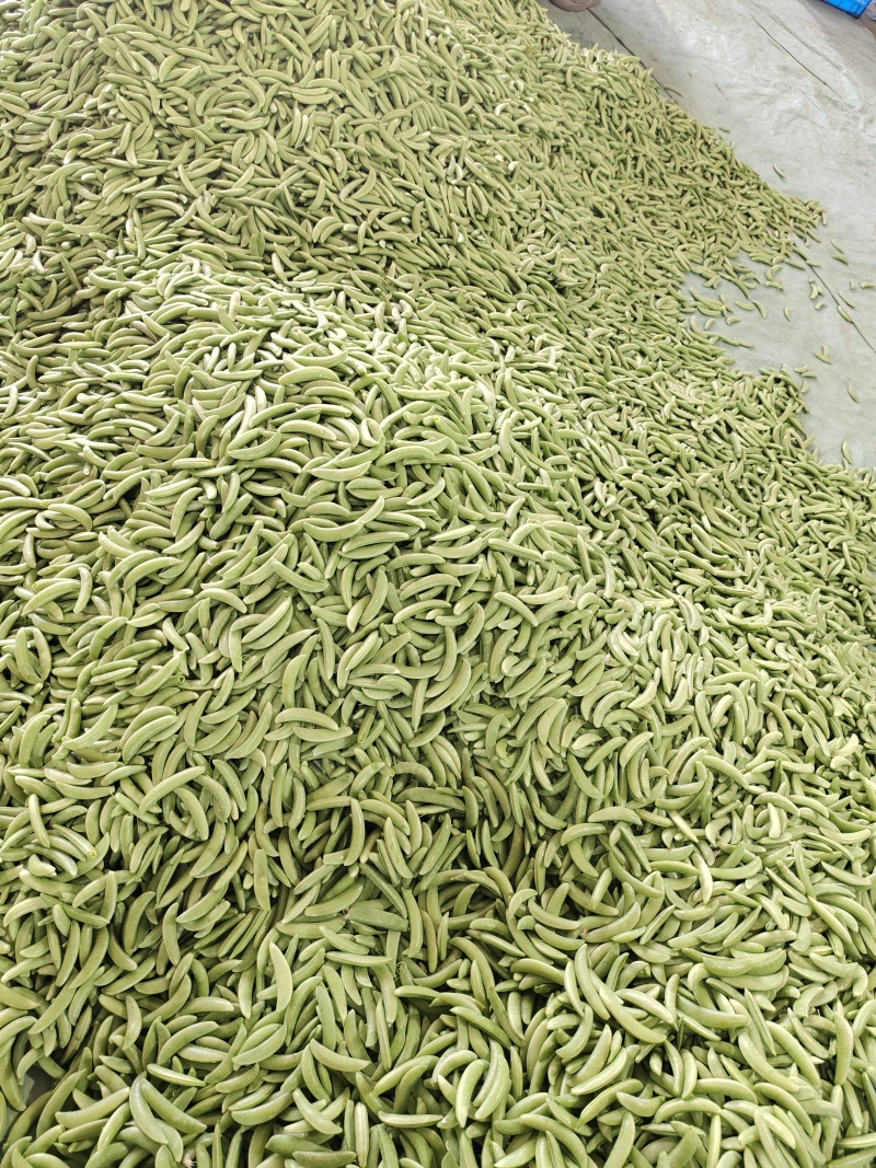 速冻甜豆甜豌豆，出口级别，果蔬脆片加工原料