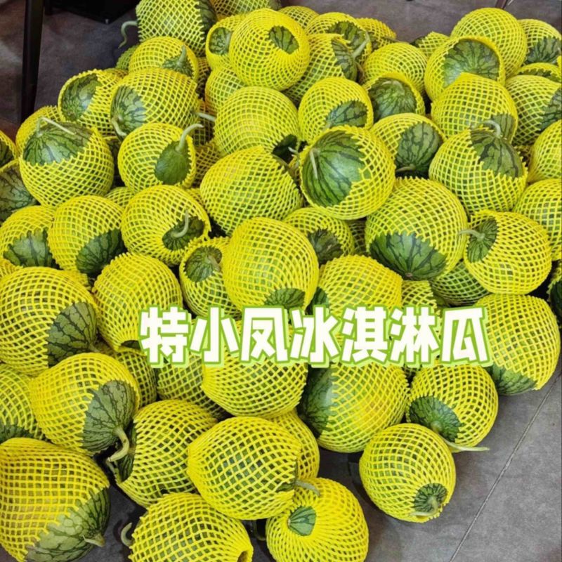 特小凤西瓜江苏特小凤西瓜皮薄多汁基地直供对接全国市场