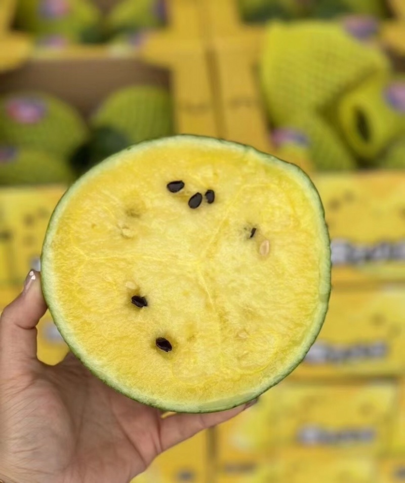 特小凤西瓜江苏特小凤西瓜皮薄多汁基地直供对接全国市场