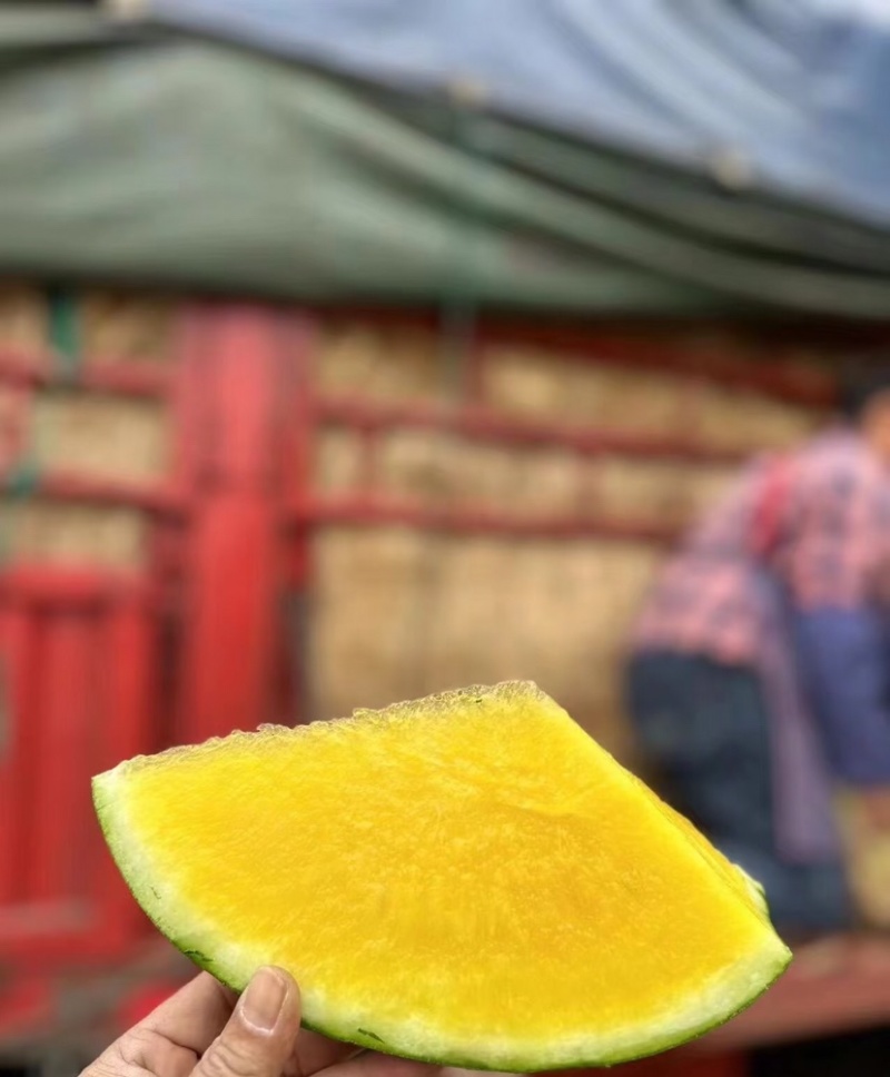 特小凤西瓜江苏特小凤西瓜大量供应包熟包甜代发全国