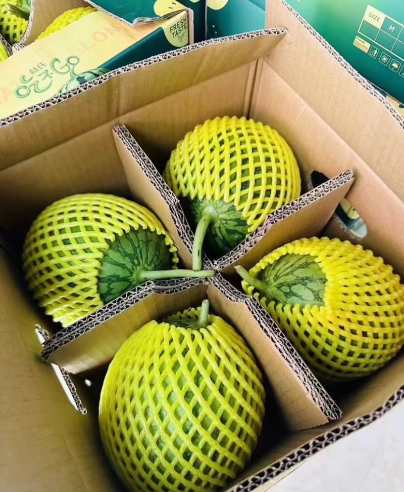 特小凤西瓜江苏特小凤西瓜大量供应包熟包甜代发全国