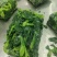 速冻菜心，菜尖，菜苔，半成品菜，净菜，日标速冻