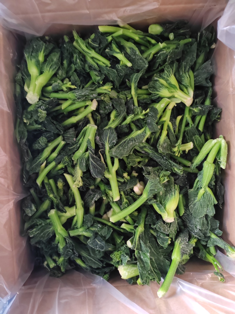 速冻菜心，菜尖，菜苔，半成品菜，净菜，日标速冻