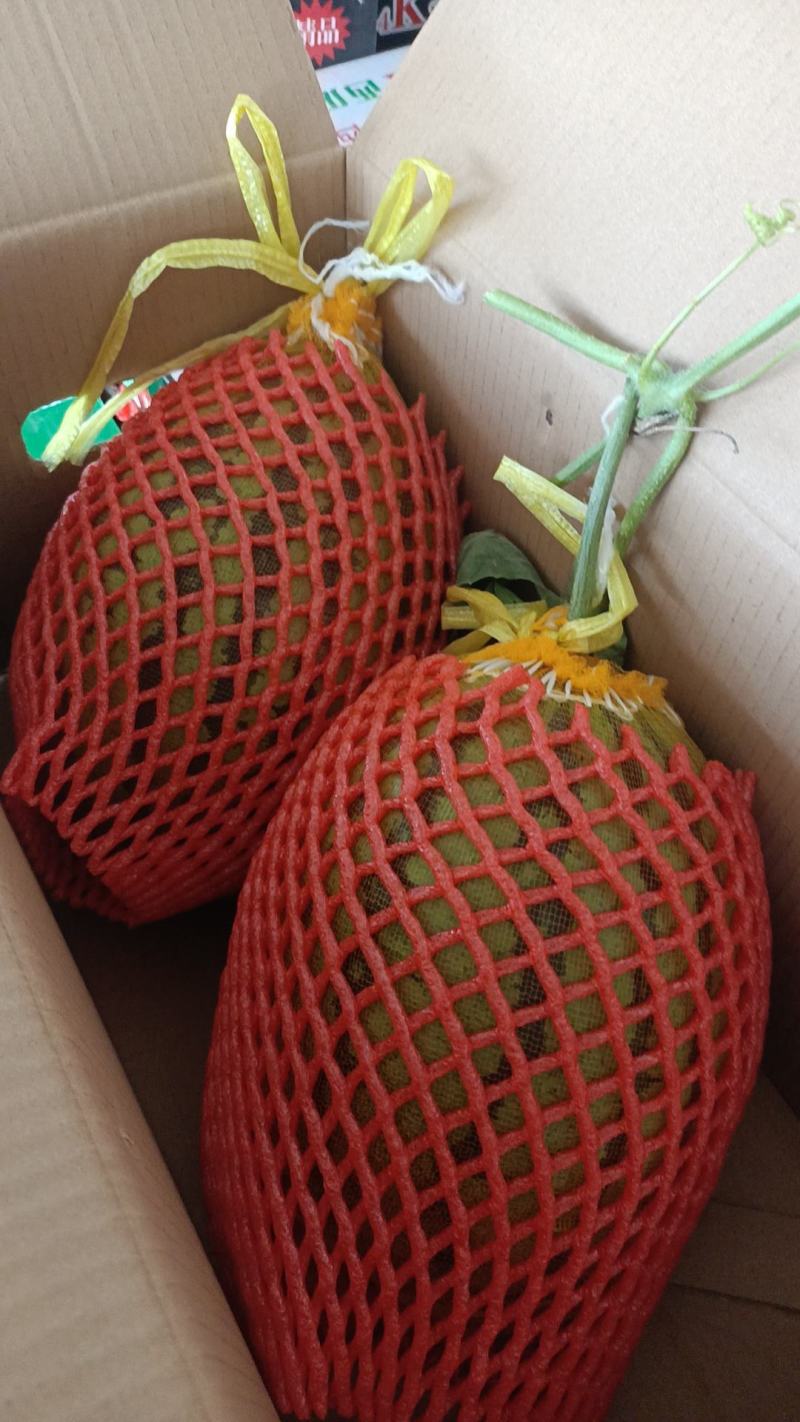 新乐各种礼品西瓜
