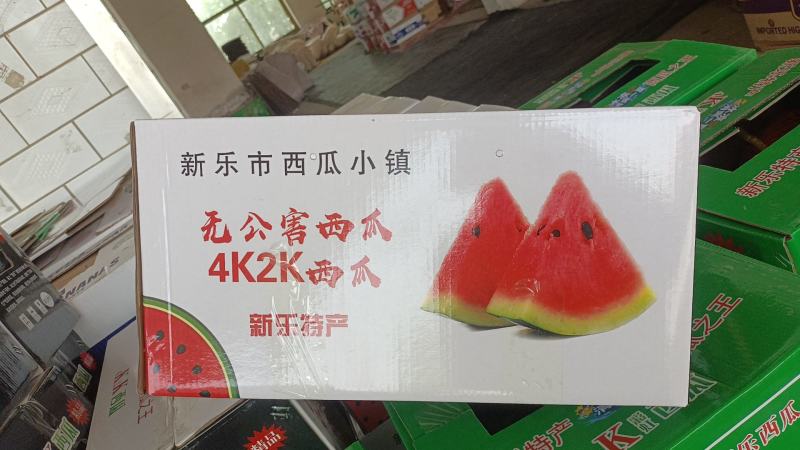 新乐各种礼品西瓜