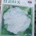 有机菜花苗小米粒苗厂直销现挖现发品种保证