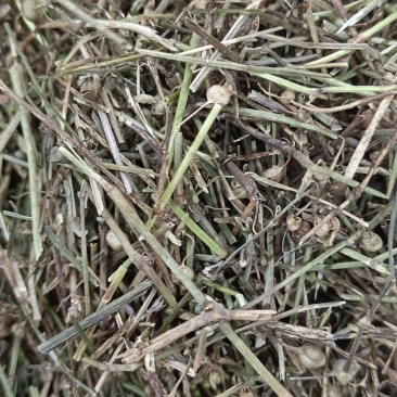 百花蛇舌草各种中草药，冷背药材代加工打粉压片做丸子配方