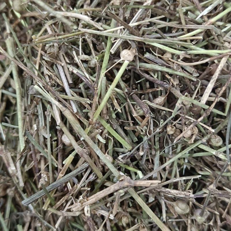 百花蛇舌草各种中草药，冷背药材代加工打粉压片做丸子配方