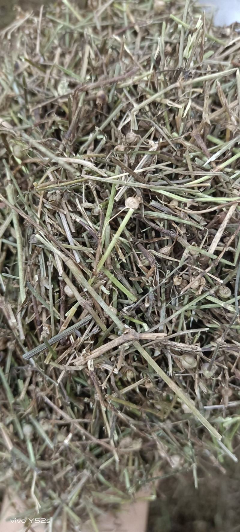 百花蛇舌草各种中草药，冷背药材代加工打粉压片做丸子配方
