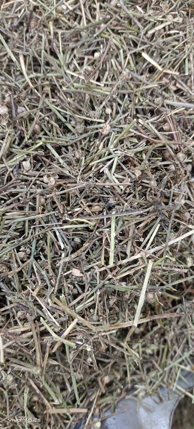 百花蛇舌草各种中草药，冷背药材代加工打粉压片做丸子配方