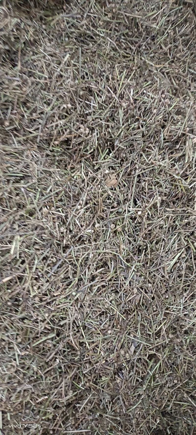 百花蛇舌草各种中草药，冷背药材代加工打粉压片做丸子配方