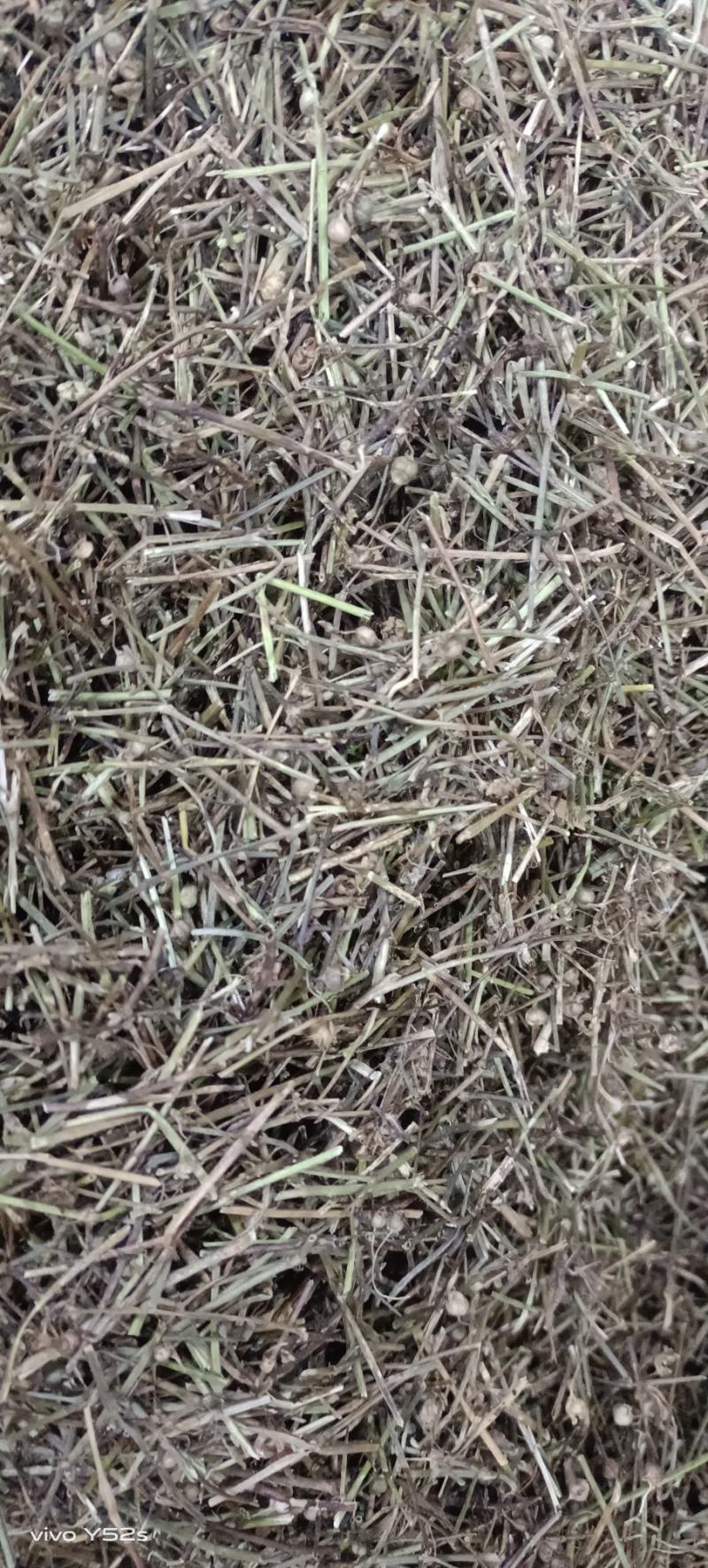 百花蛇舌草各种中草药，冷背药材代加工打粉压片做丸子配方