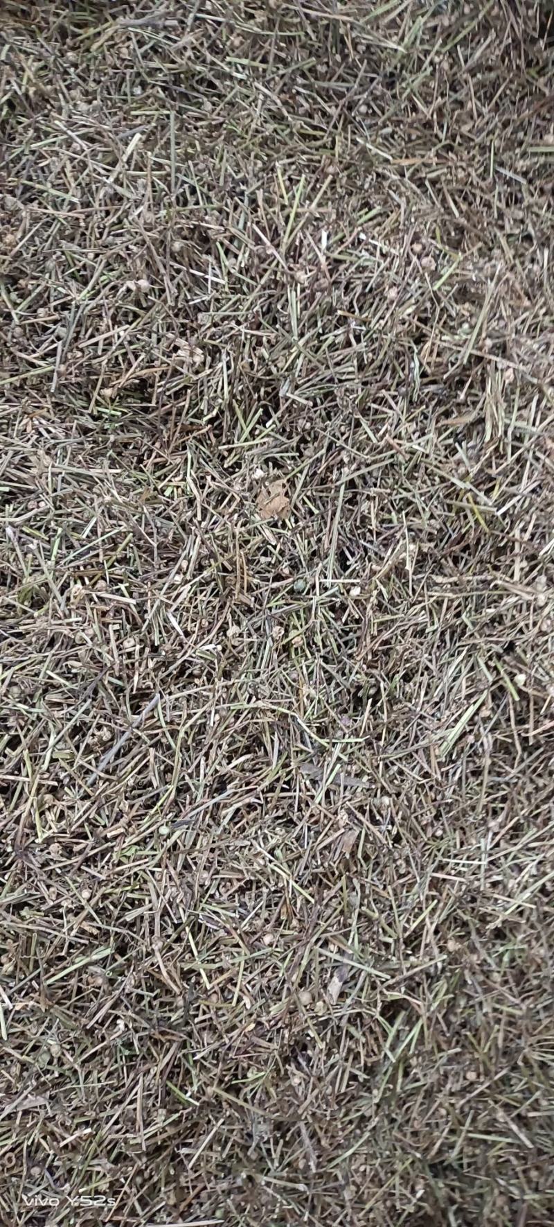 百花蛇舌草各种中草药，冷背药材代加工打粉压片做丸子配方