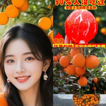 秭归中华红血橙果肉鲜红脆甜多汁对接电商批发商超出口