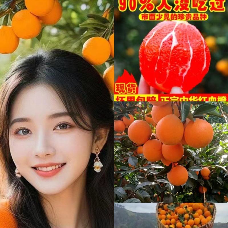 秭归中华红血橙果肉鲜红脆甜多汁对接电商批发商超出口