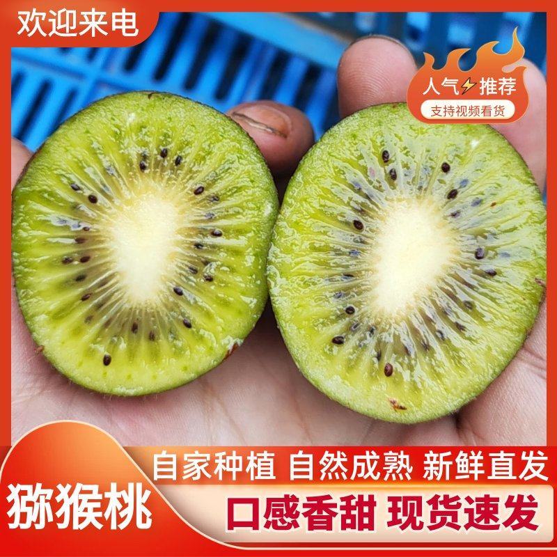 外贸专用，陕西周至海沃德绿心猕猴桃大量上市中，产地直发