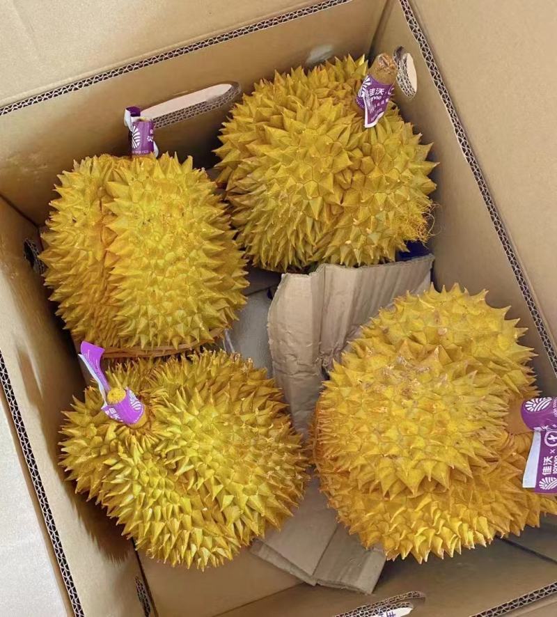 批发直销金枕榴莲
