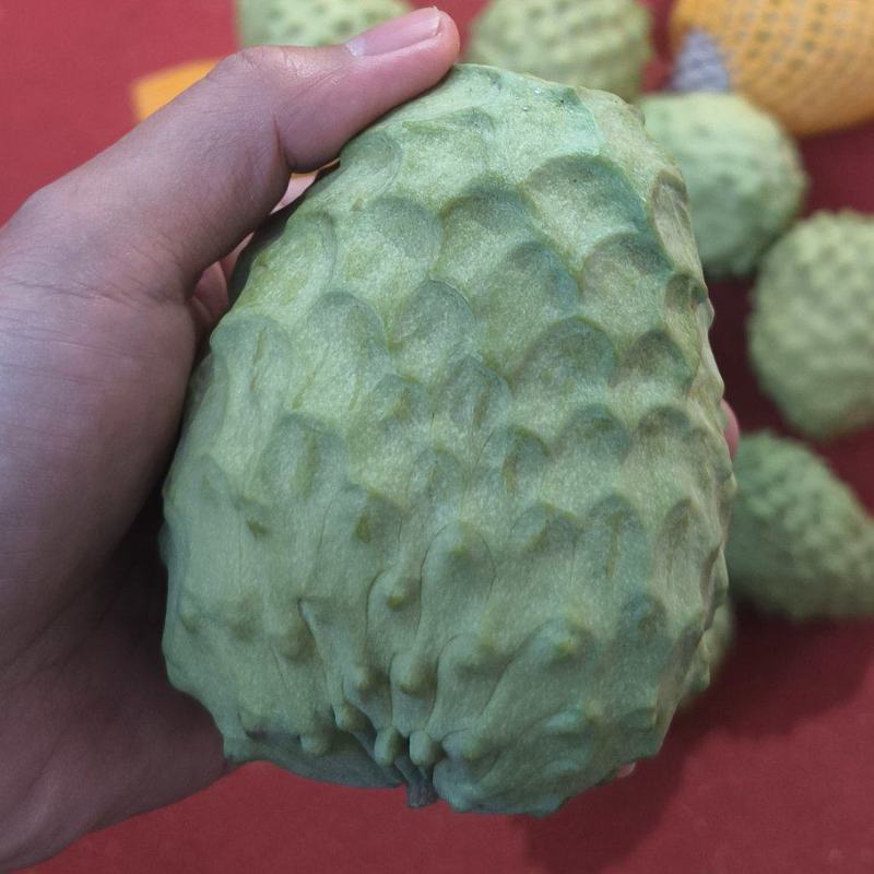 释迦果佛头果番荔枝，大果A果1级果