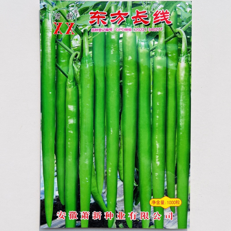 农望豫品独秀辣椒种子杂交长线椒种籽早熟青红两用味辣春秋