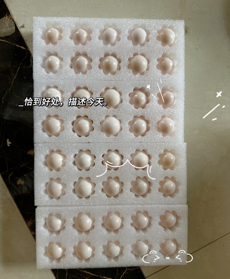 河南省南阳市鸽子蛋常年供应正规厂家一手货源全国发货