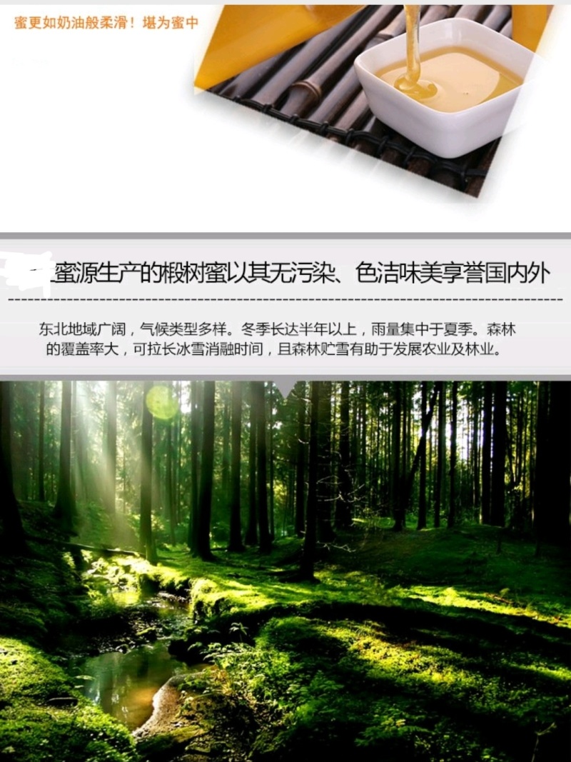 长白山椴树蜂蜜结晶蜜蜂场直发保农家蜂蜜