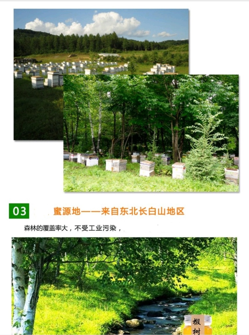 长白山椴树蜂蜜结晶蜜蜂场直发保农家蜂蜜