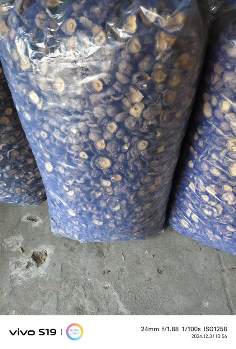 干香菇产地直销欢迎老板咨询