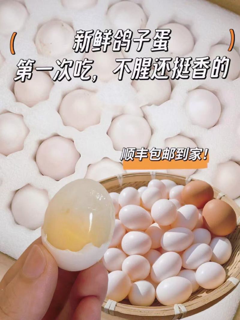 《甄选好货》河南鸽子蛋/电商团购/量大便宜保证新鲜