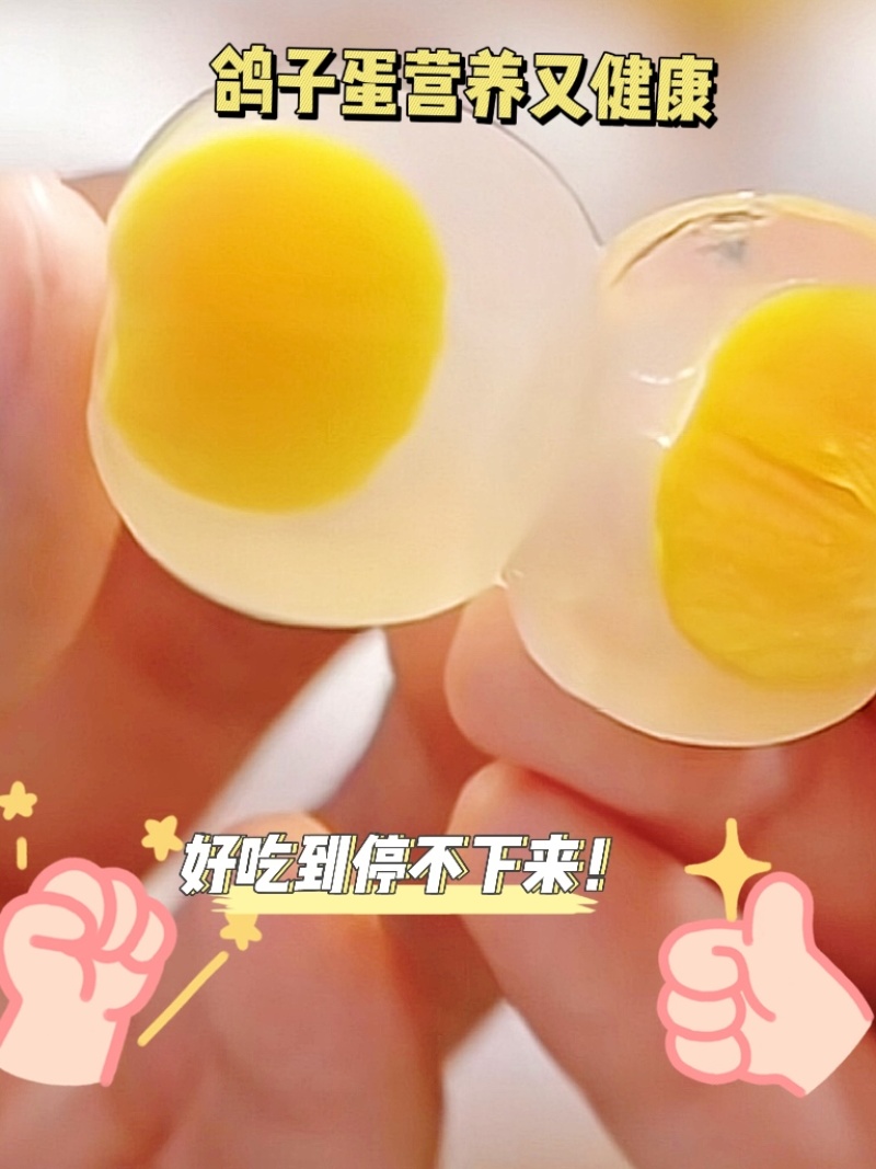 《甄选好货》河南鸽子蛋/电商团购/量大便宜保证新鲜