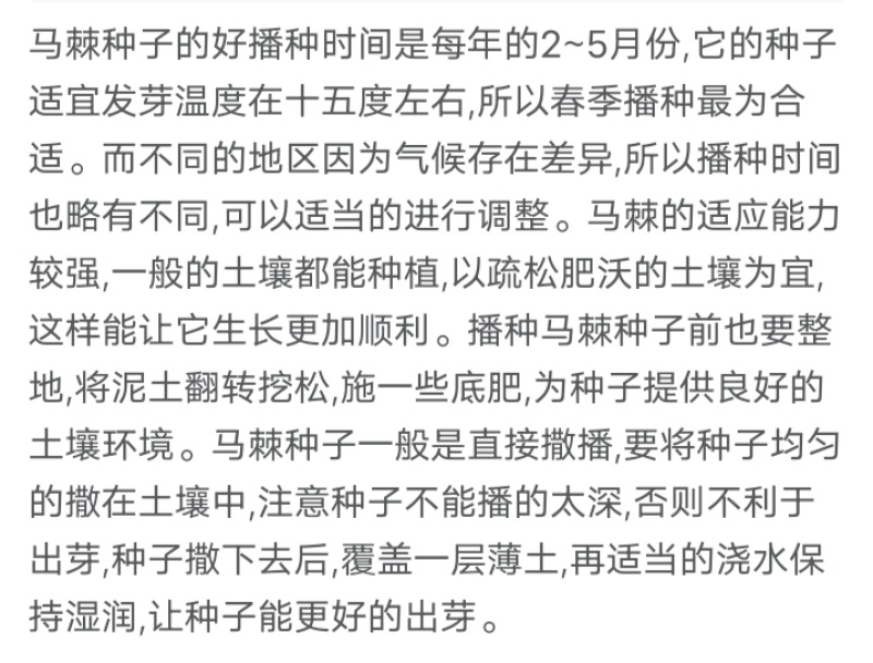 马棘厂家货源批发价格全国发货价格便宜欢迎下单
