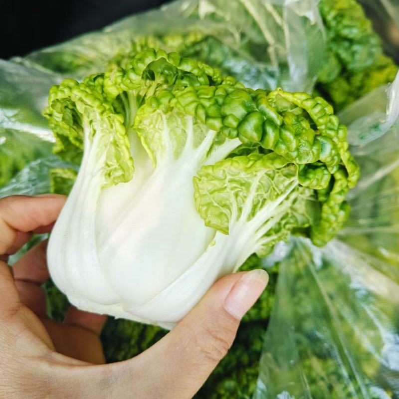 黄心菜，乌塌菜，量大优惠