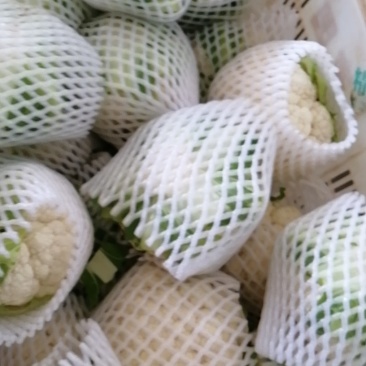 云南高原精品花菜白花
