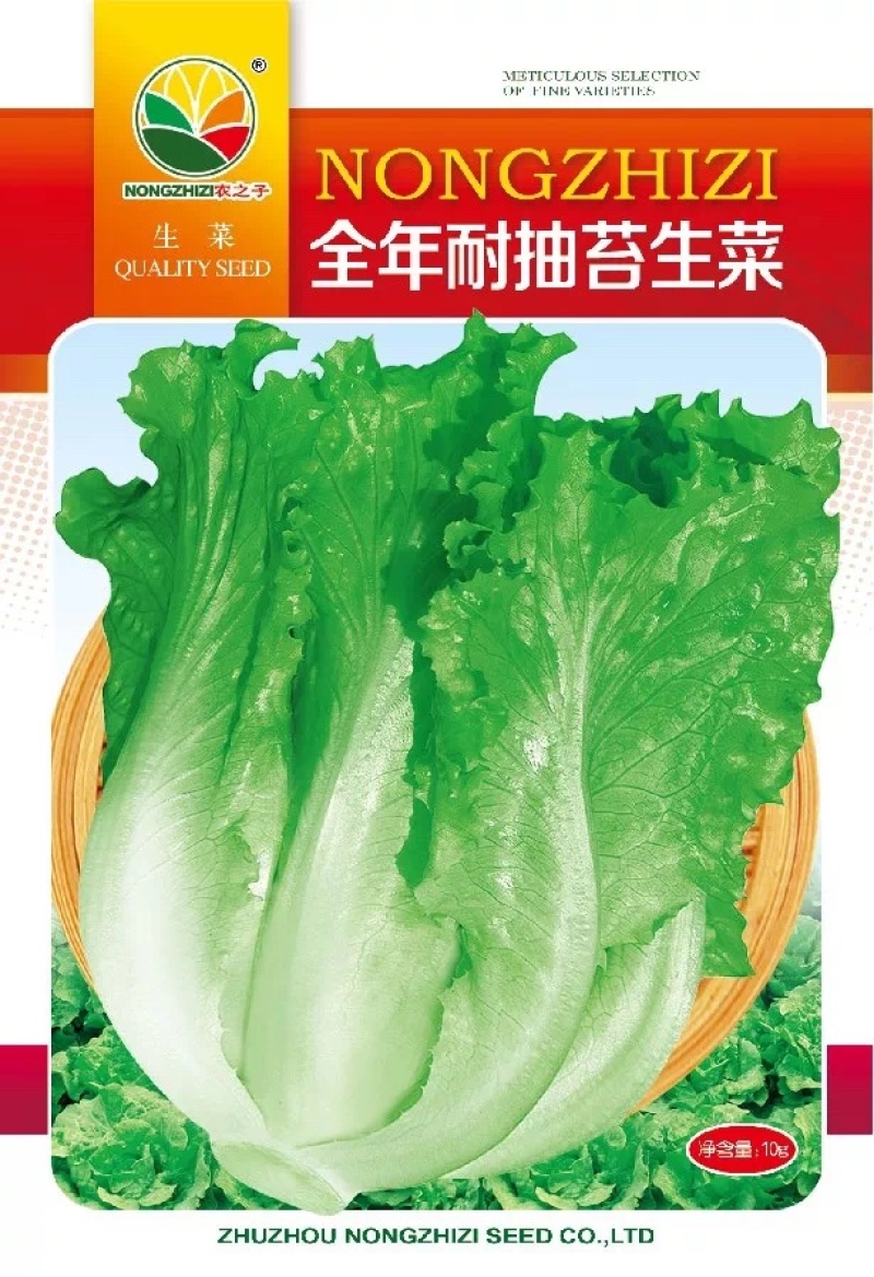 半包心全年耐抽苔生菜耐热耐寒四季种植口感好