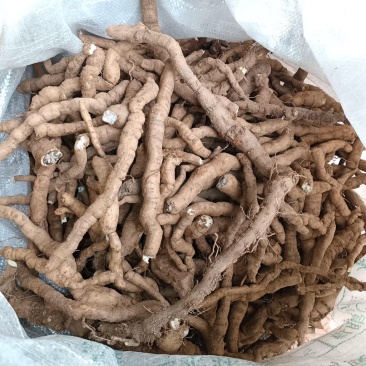 粉防己鲜货20元/斤（直径5mm以上），欢迎订购