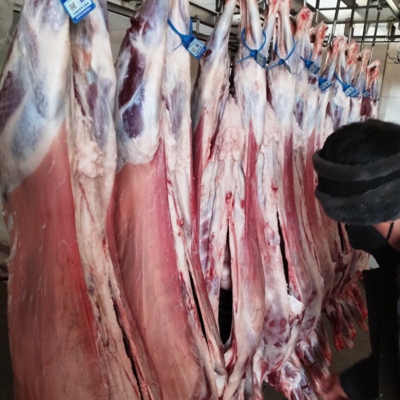 陕北横山跑山羊肉