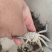 蟹苗