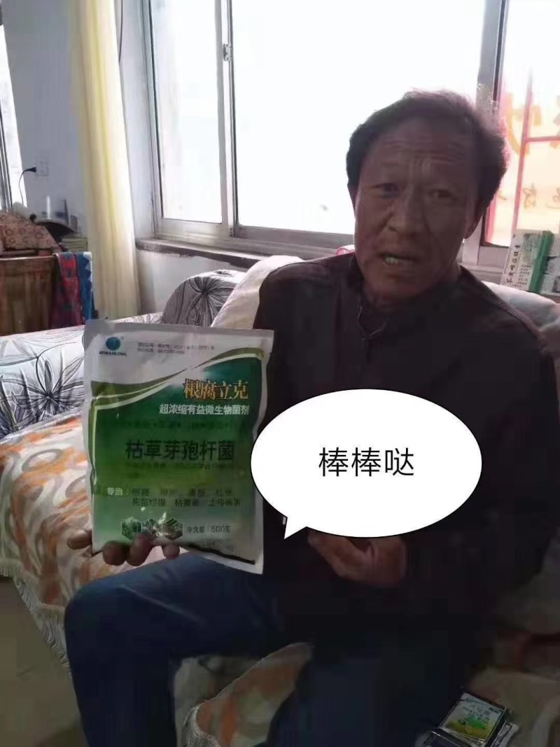 根腐立克微生物菌剂抑制土传病害治疗根腐肥料厂家直销