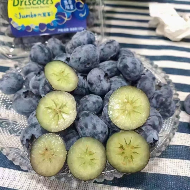 新鲜蓝莓12盒当季大果批发一手货源大量现货